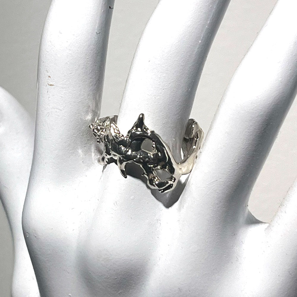 Ring #10
