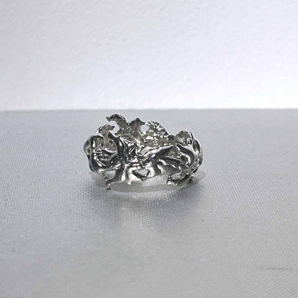 Ring #16