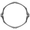 Claws Bangle