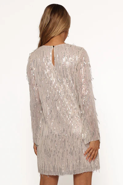 Serena Sequin Mini Dress – Nude & Silver Sequin Fringe Mini Dress