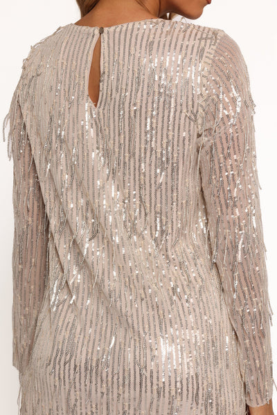 Serena Sequin Mini Dress – Nude & Silver Sequin Fringe Mini Dress